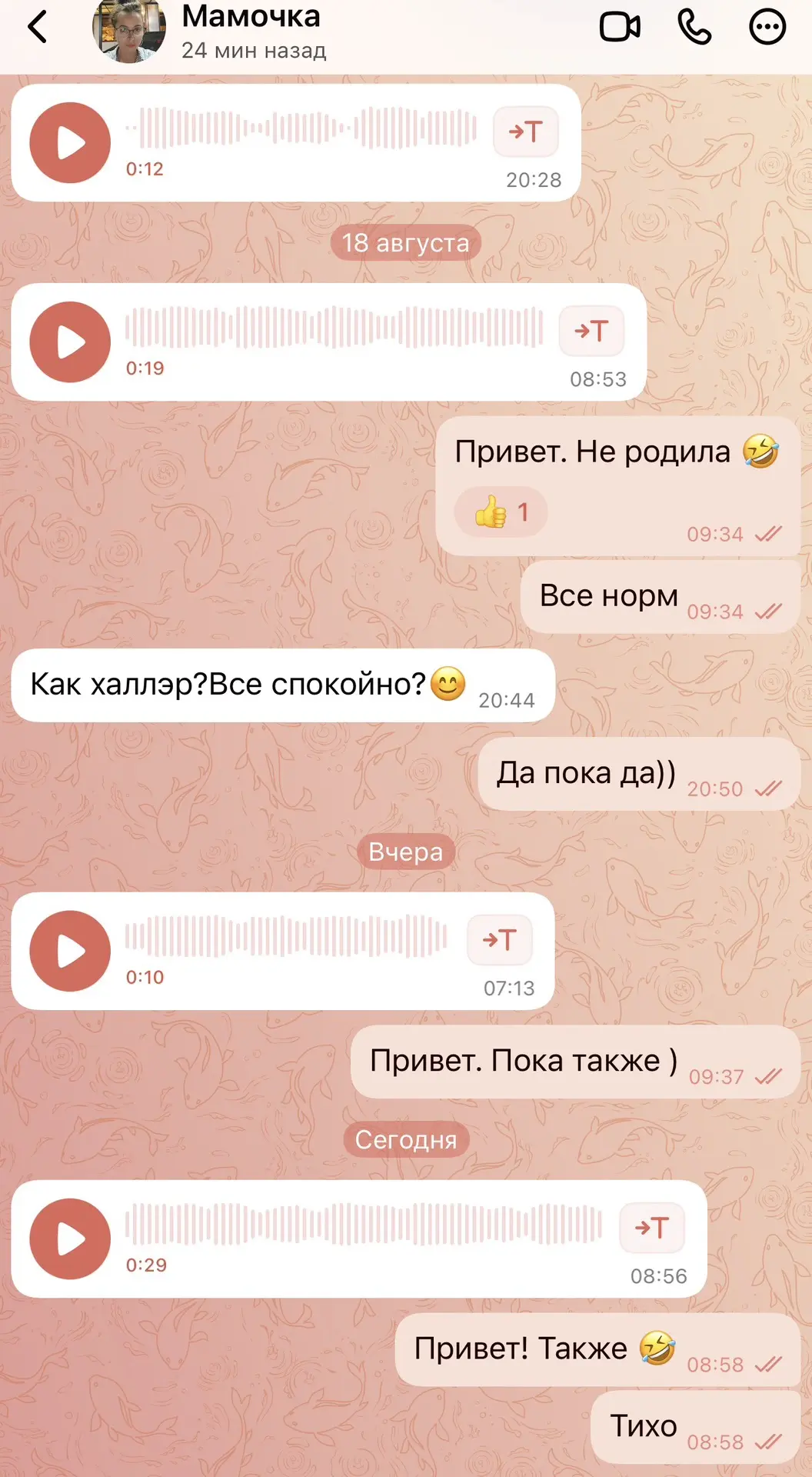 Переписка с мамой🤣🤣🤣