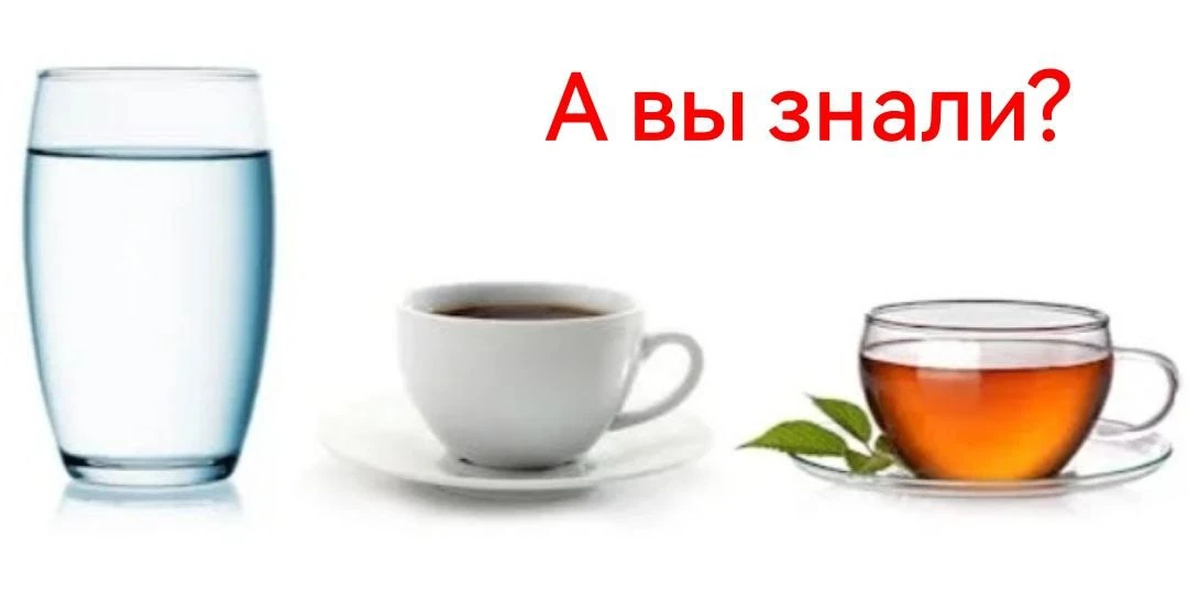 Может ли чай или кофе восполнить нехватку жидкости в организме?🤔