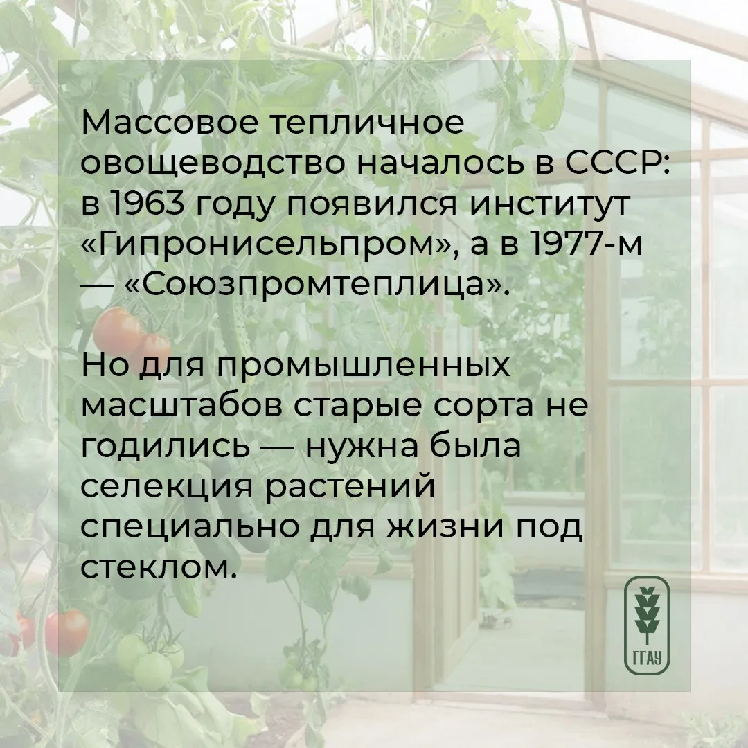 😉 Для одних понедельник – день тяжелый, а мы его сделаем – полезным и интересным. И расскажем о… пол
