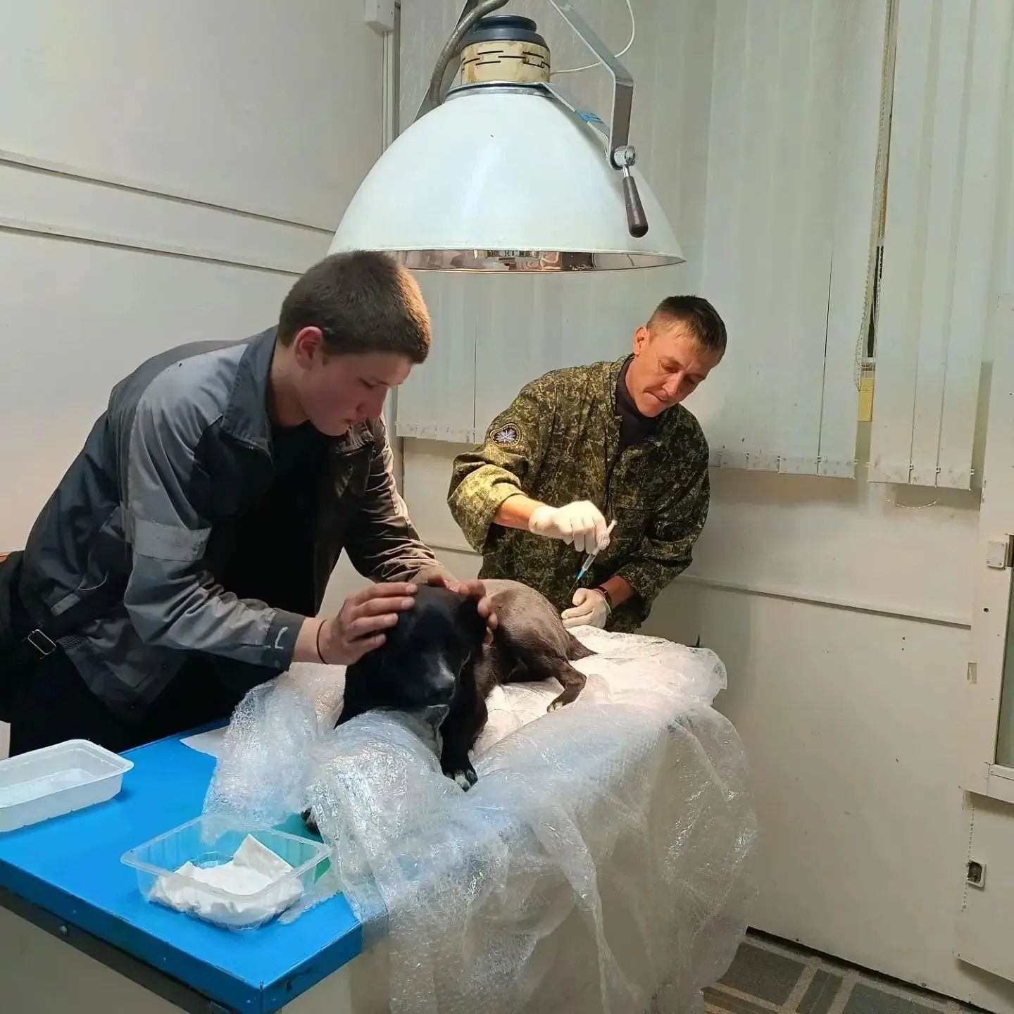 Неравнодушные граждане подобрали на улице маленького щенка. Заботливые новые хозяева ок...