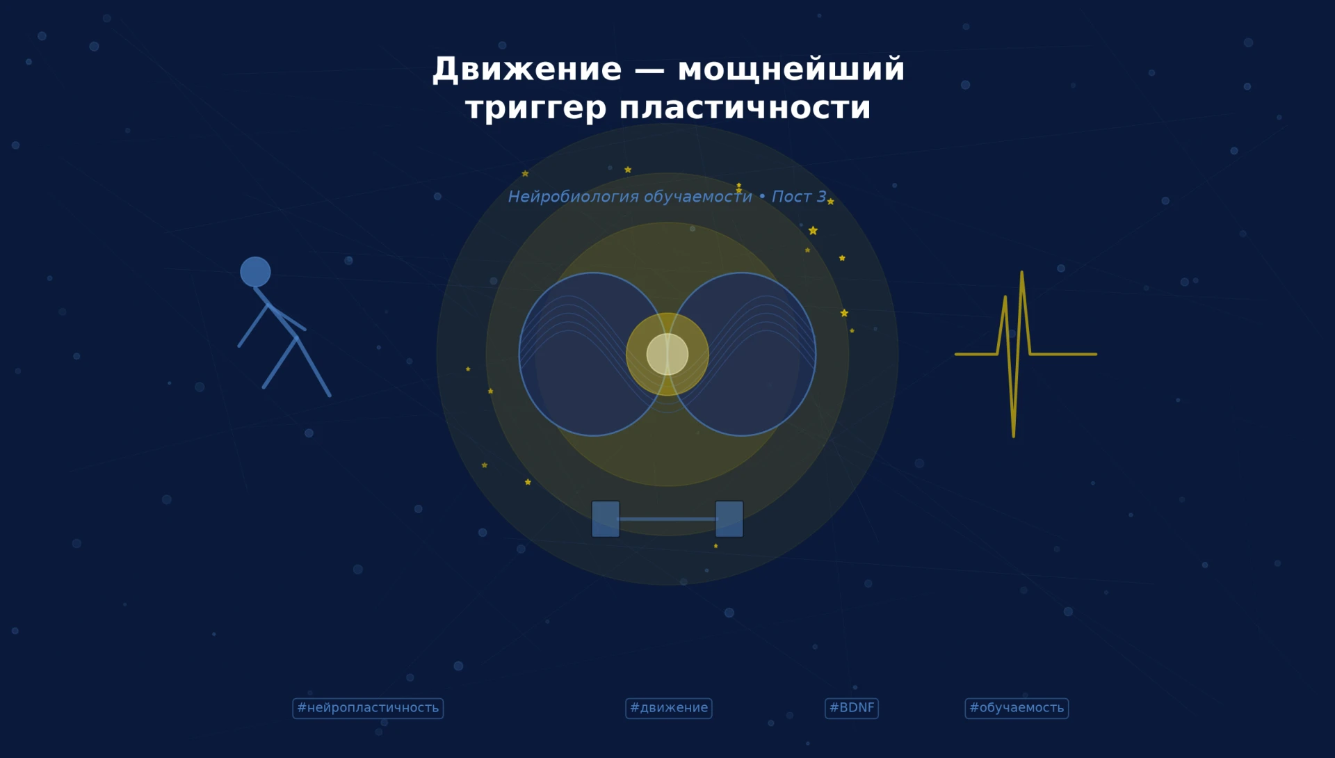 Движение — мощнейший триггер пластичности