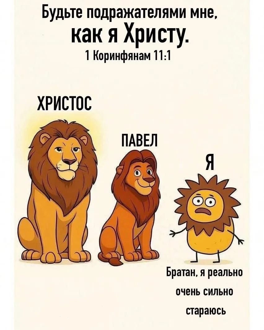Не смогла удержаться , очень уж жизненно
