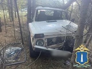 Нетрезвый водитель врезался в дерево.