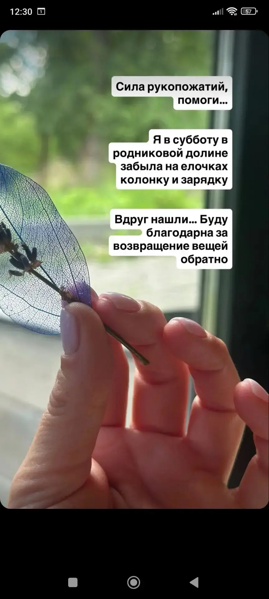 Здравствуйте. Потеряли колонки в парке у ëлок

89880264939