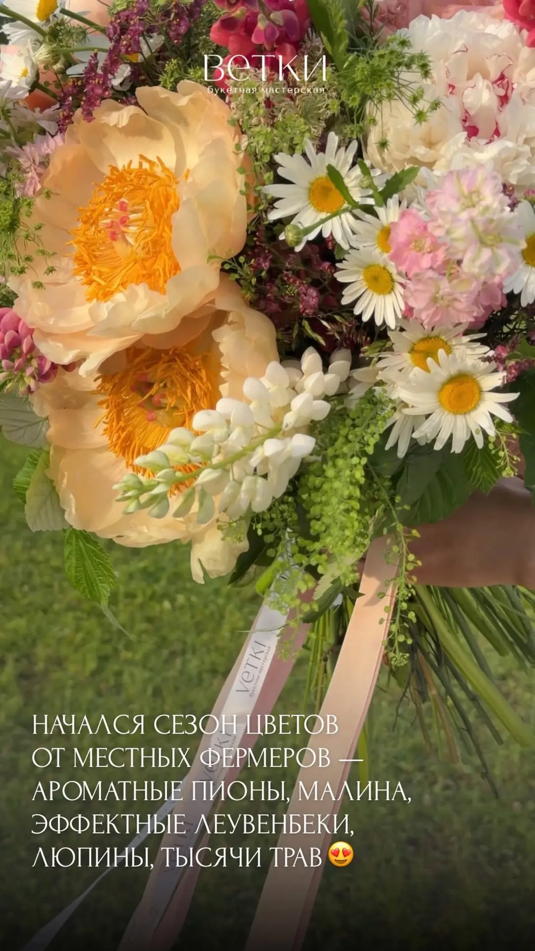 Начался сезон от местных фермеров- ароматные пионы, малина, леувенбеки, тысячи трав…
Мы хотим по мак