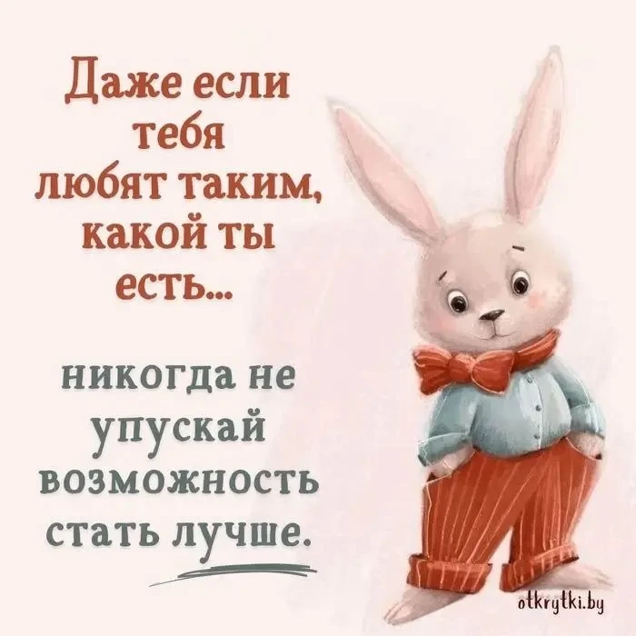 Список качественных каналов в МАХ | Подпишись!❤️