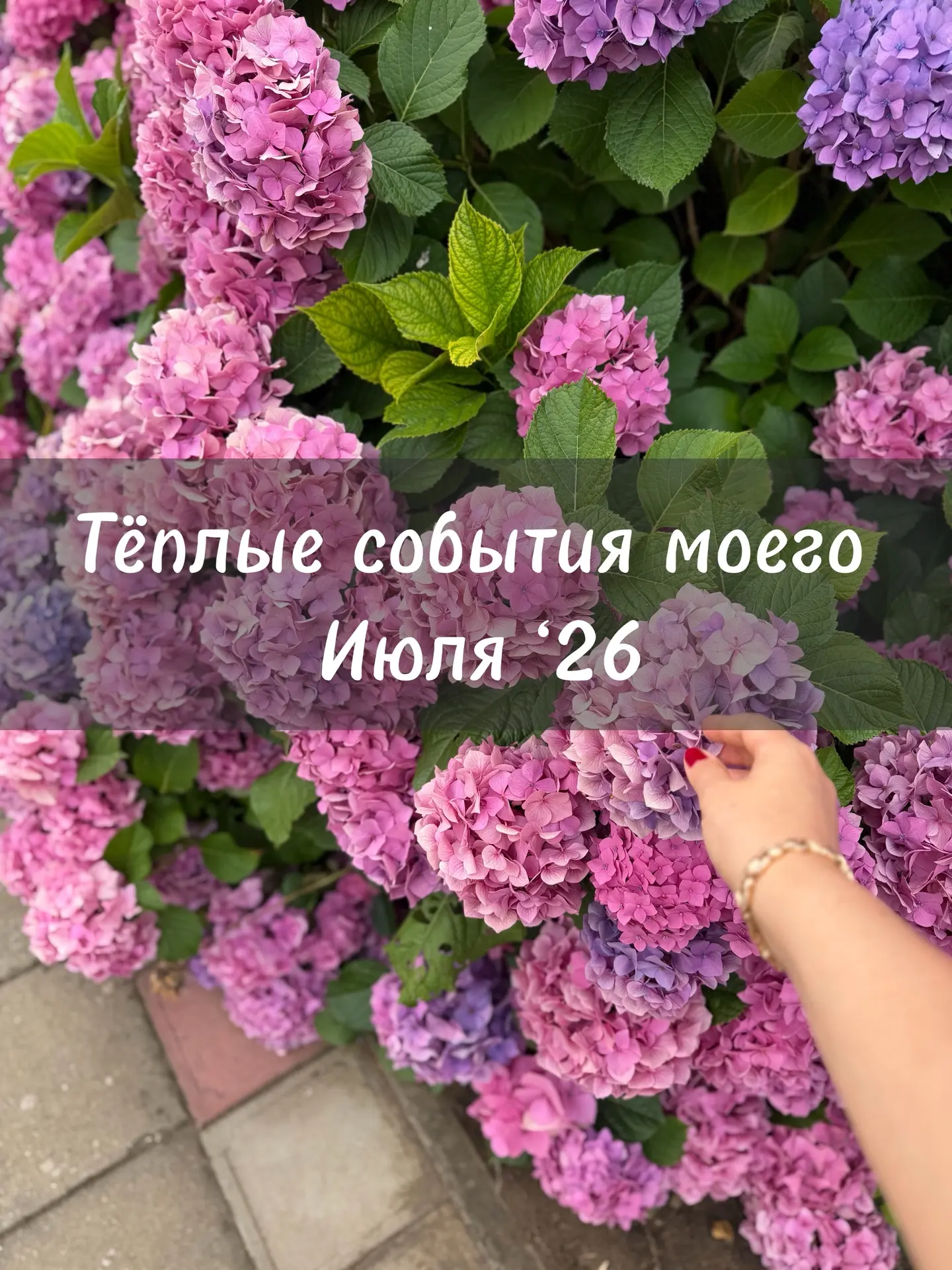 Несколько теплых событий из моего июля-как якоря для ресурсного состояния. Советую и ва...