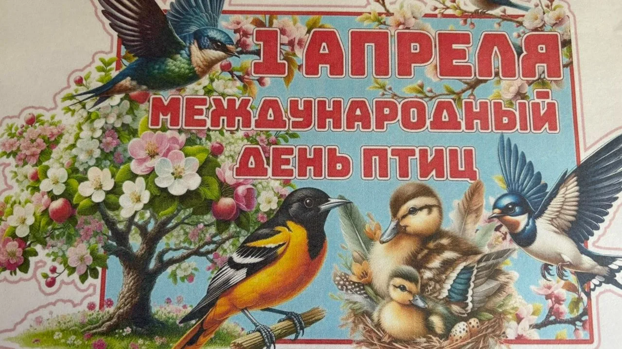 1 апреля Международный День птиц,  -  важнейший экологический праздник, отмечается во в...