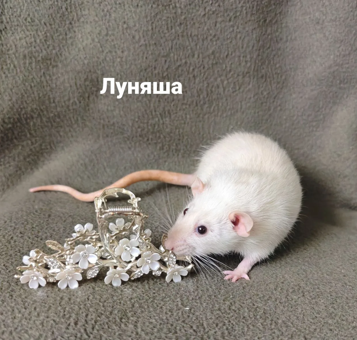 Дождалась