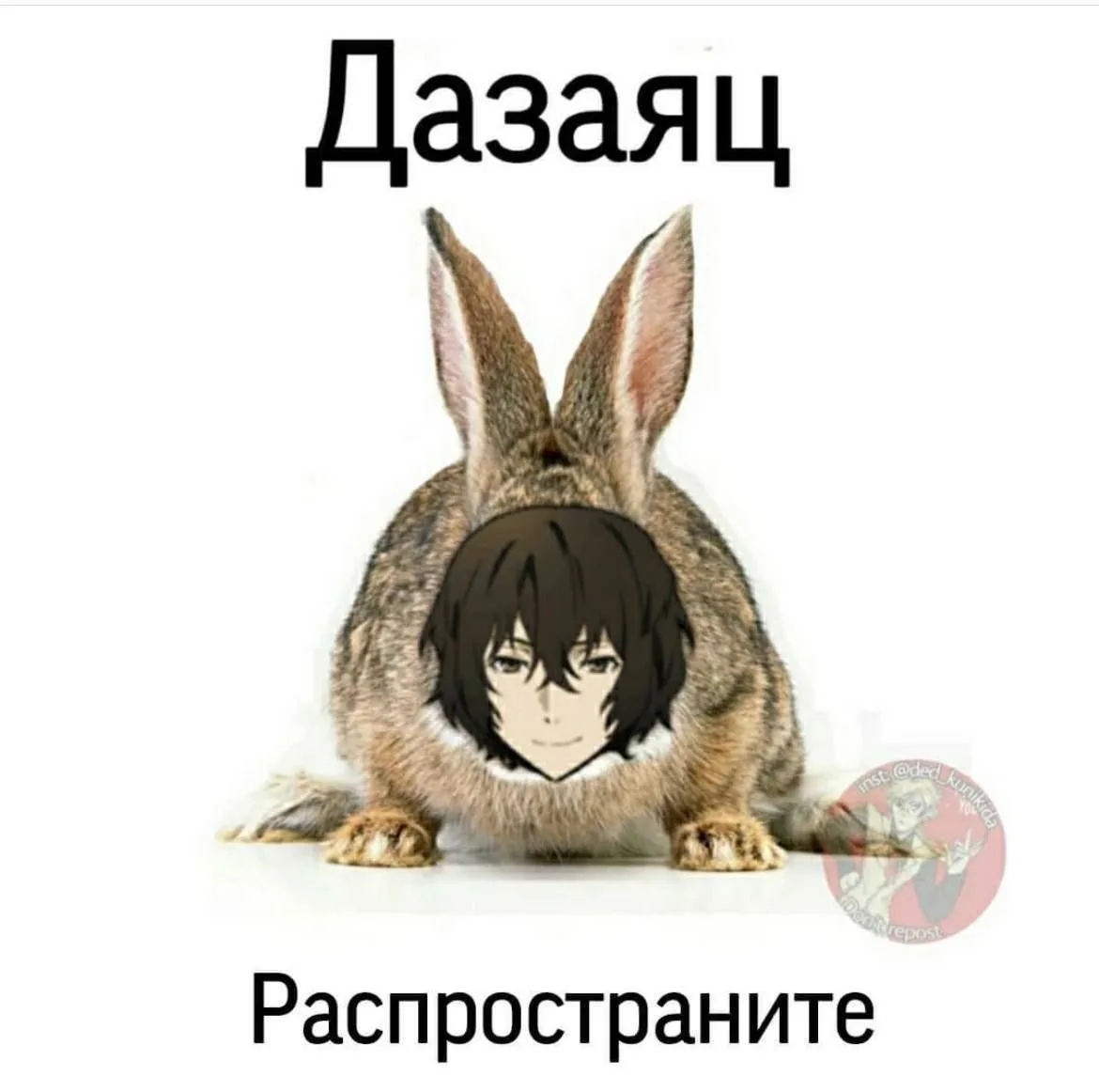 Все наши каналы