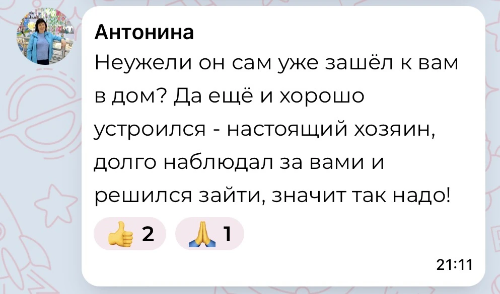 Нет, не зашел. Это диван на улице.