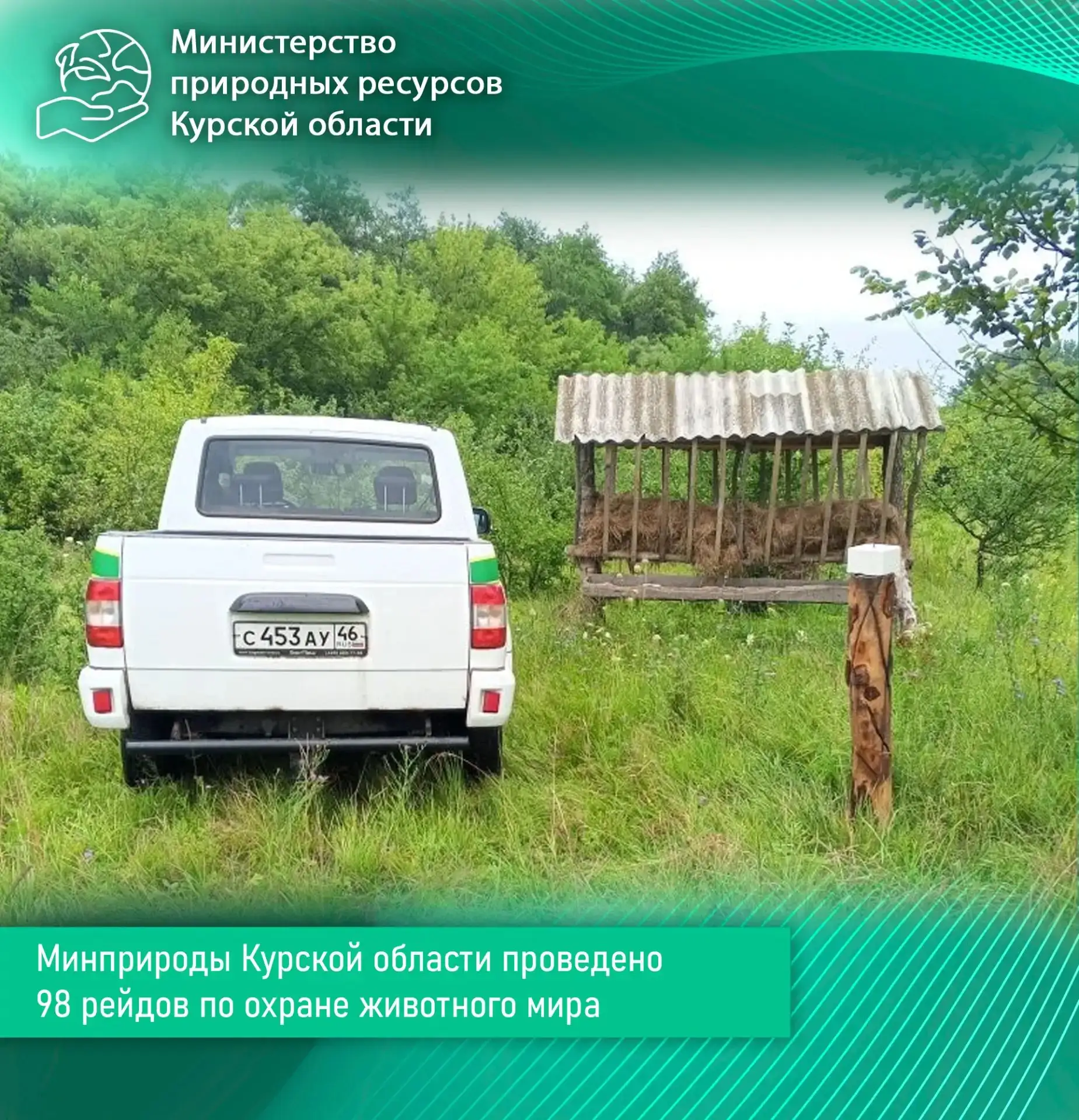Минприроды Курской области проведено 98 рейдов по охране животного мира

🚙С 16 по 22 июля сотрудник