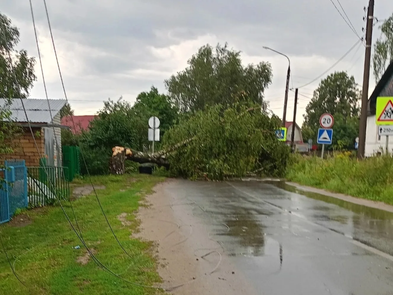Вчера наш город пострадал от сильного урагана. Повалило деревья, перекрыло дороги, обор...