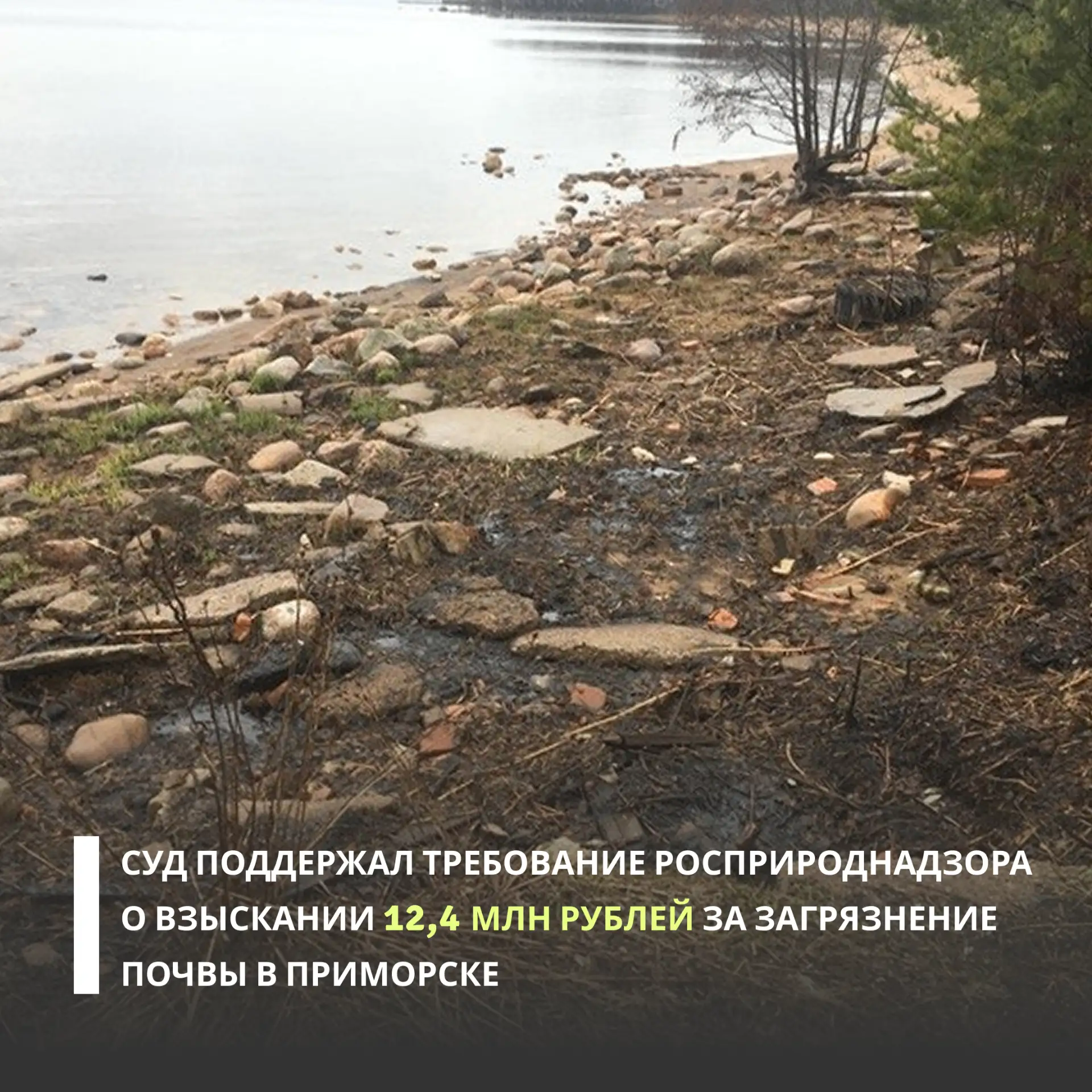 Инспекторы Росприроднадзора по обращению жителей обследовали территорию водоохранной зо...