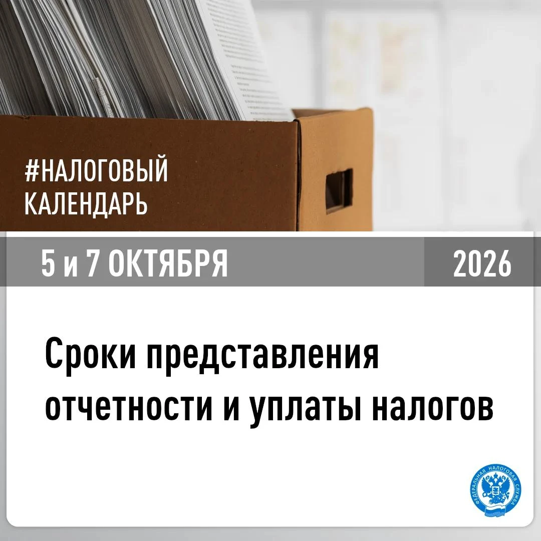 В УФНС России по Херсонской области напомнили, о представлении отчетности и уплате нало...