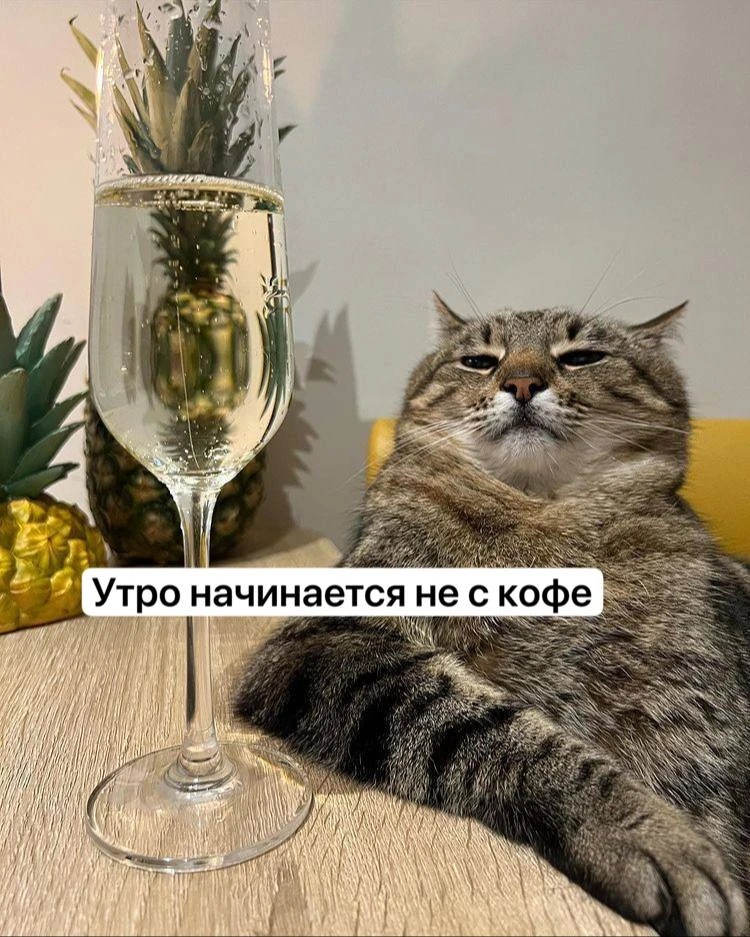 Доброе утро, Майкоп!