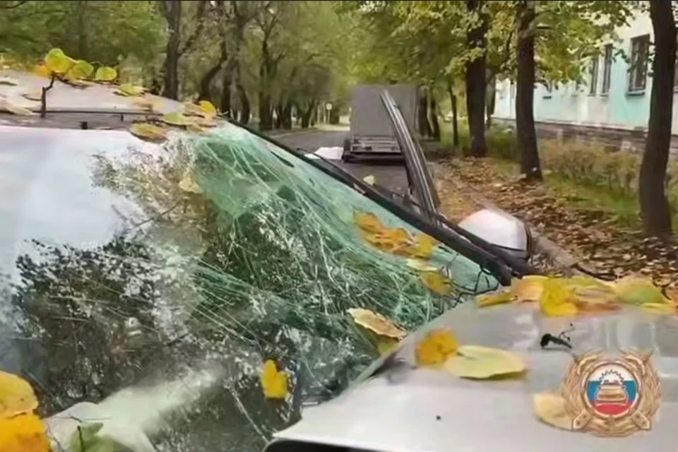 🚗 Отец с детьми попали под колеса автомобиля в Железногорске