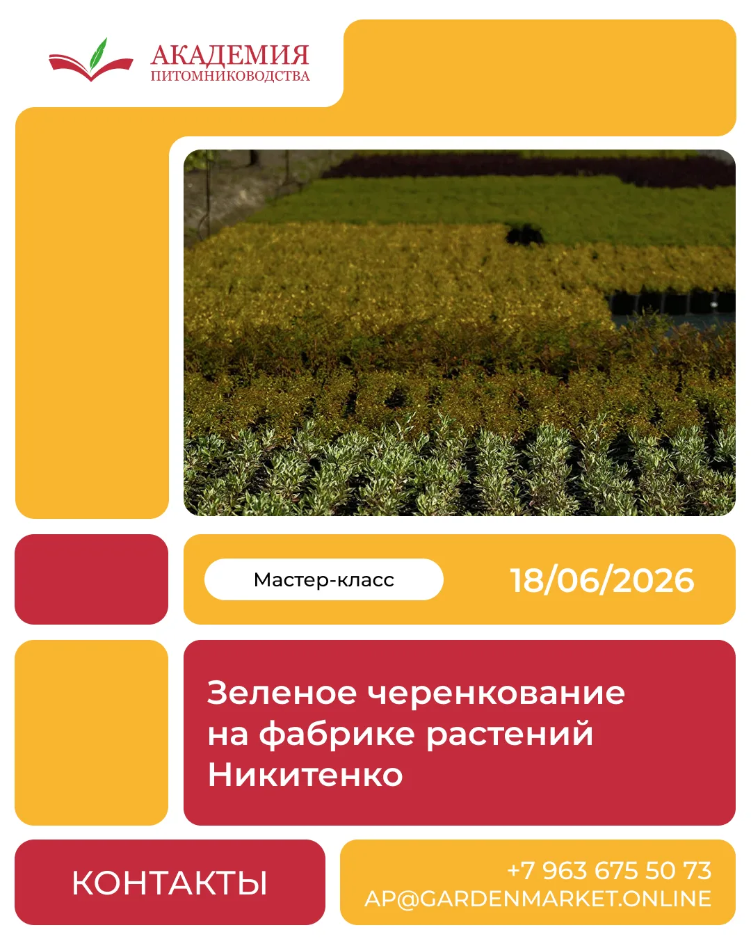 🔥Начинаем сезон зелёного черенкования на Фабрике растений Никитенко

🌱Зелёное черенкование - один 