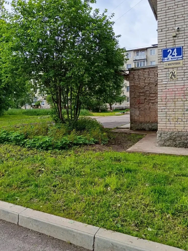 🏡6 микрорайон, д. 24 - покос травы