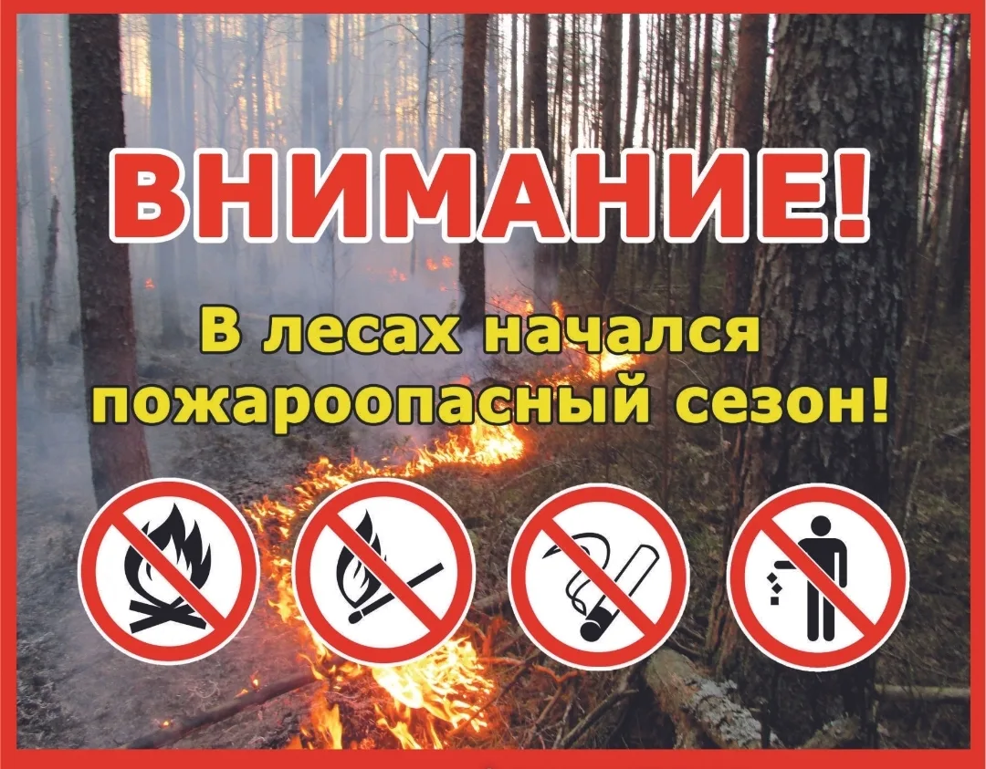 🌲Постановлением Правительства Свердловской области от 26 марта 2026 года №180-ПП в рег...