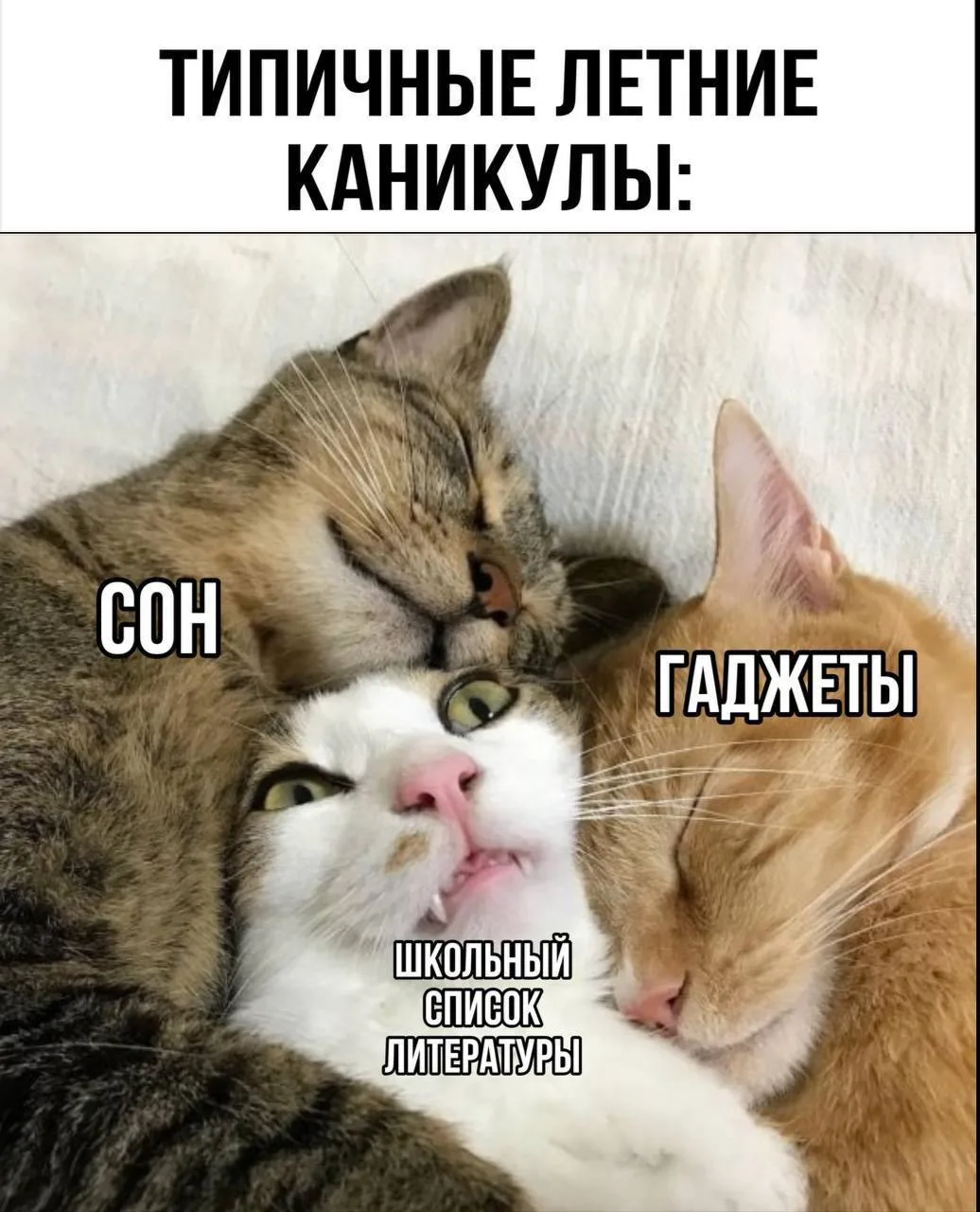 У кого тоже так?😅

Подготовила для своих учеников необычный список книг на лето.

Включила туда:
📒