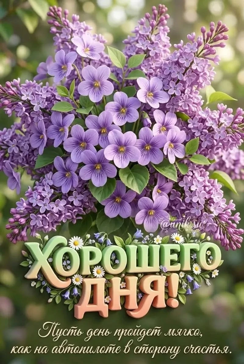 Подпишись 👇