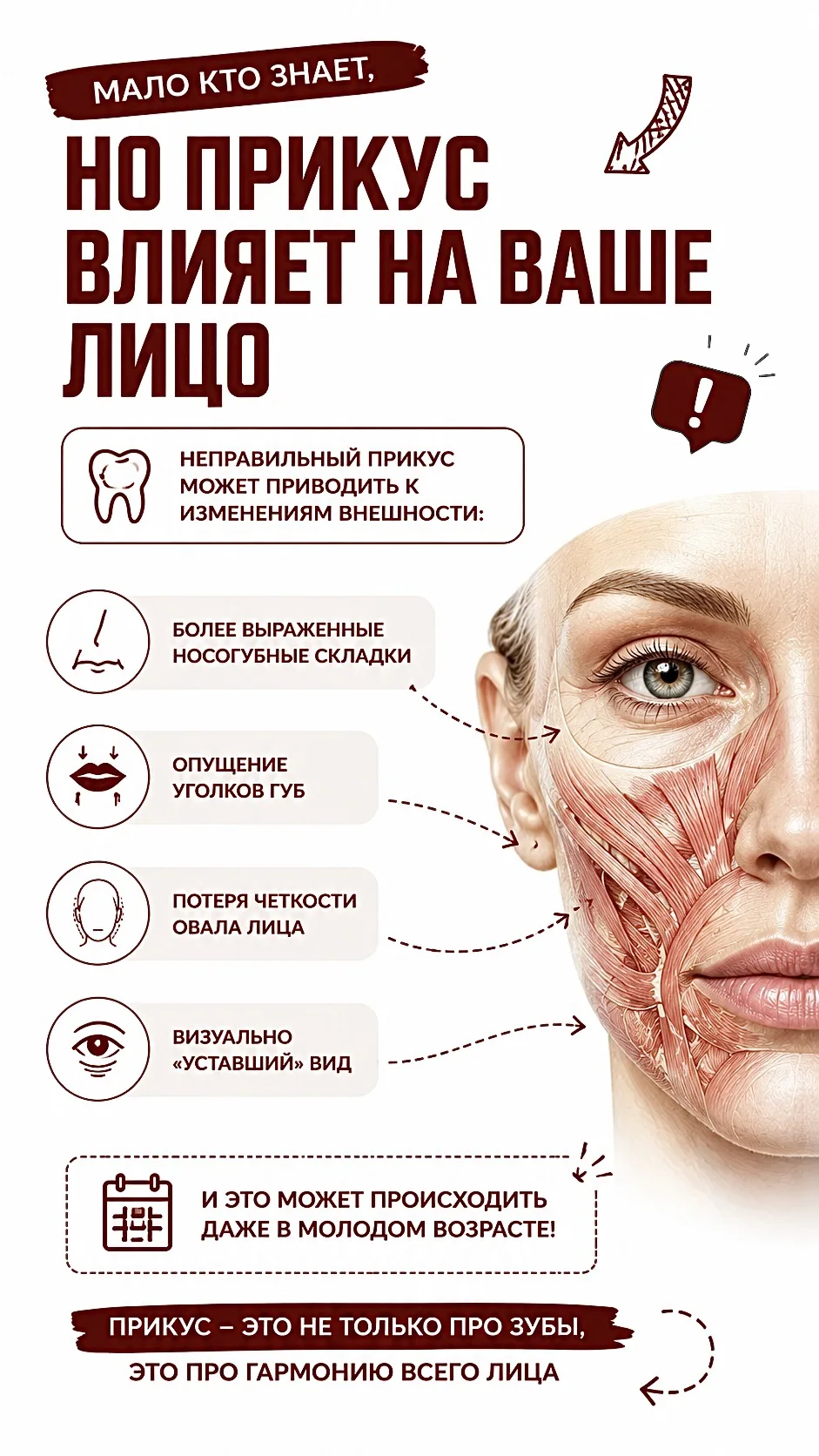 #лицо
#анатомия
#прикус
#стоматология