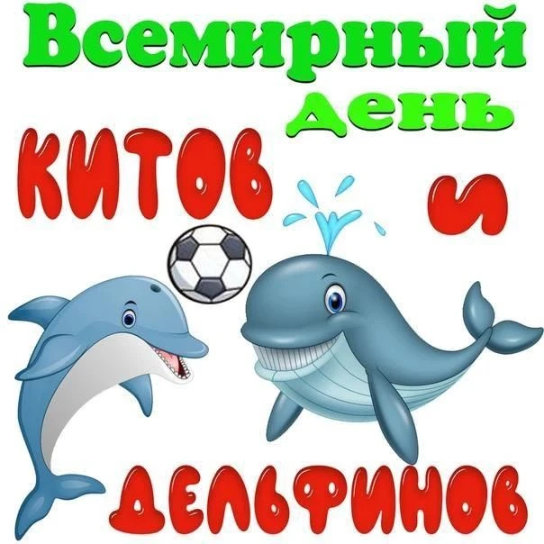 🧐 А вы знали, что 23 июля празднуется Всемирный день китов и дельфинов❓

Морская среда богата разно