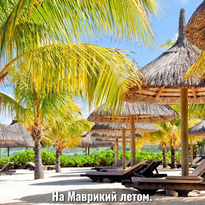 На Маврикий летом.

Мы подготовили для вас подборку трёх совершенно разных отелей, которые идеально 