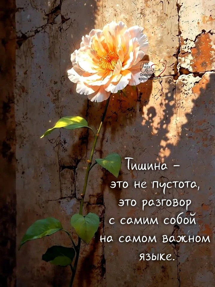 Не бойтесь тишины. Дайте себе возможность поговорить с главным человеком в вашей жизни ...