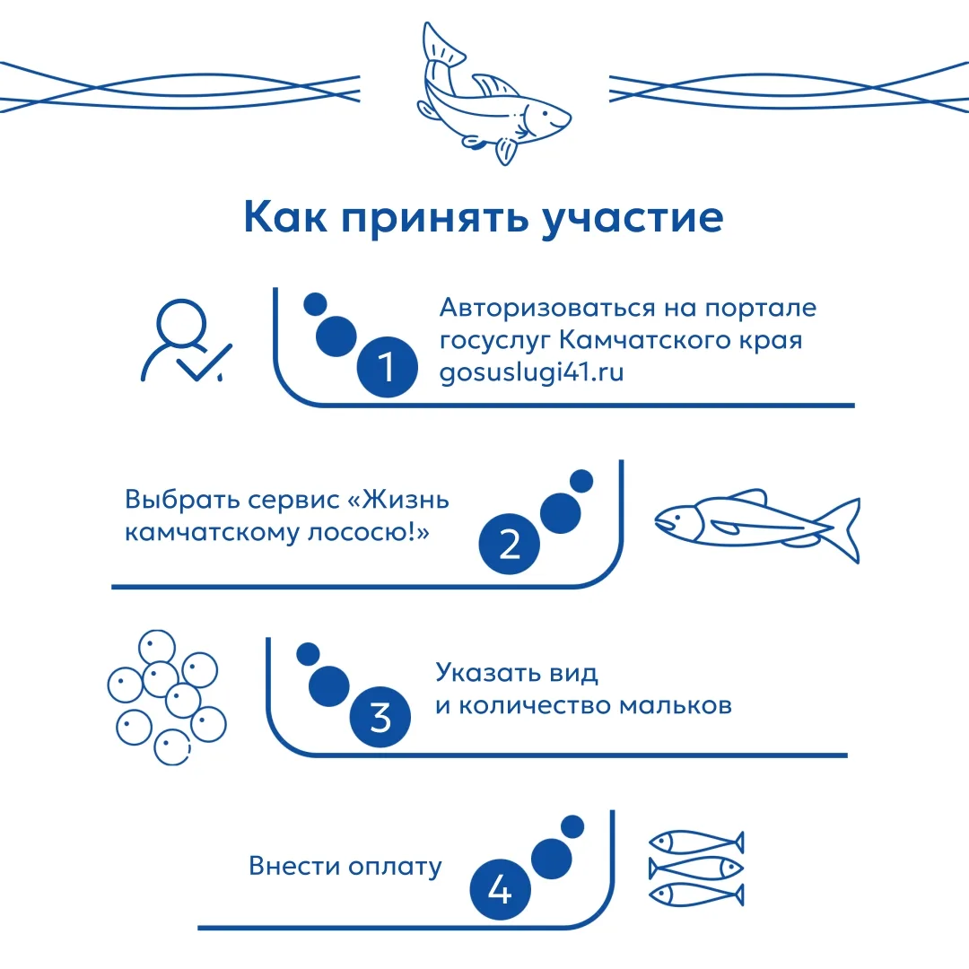 На Камчатке стартовал третий сезон экологического проекта «Жизнь камчатскому лососю!»

Цель акции — 