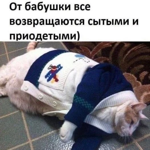 Добавил искру в их отношения🥰😂😂😂