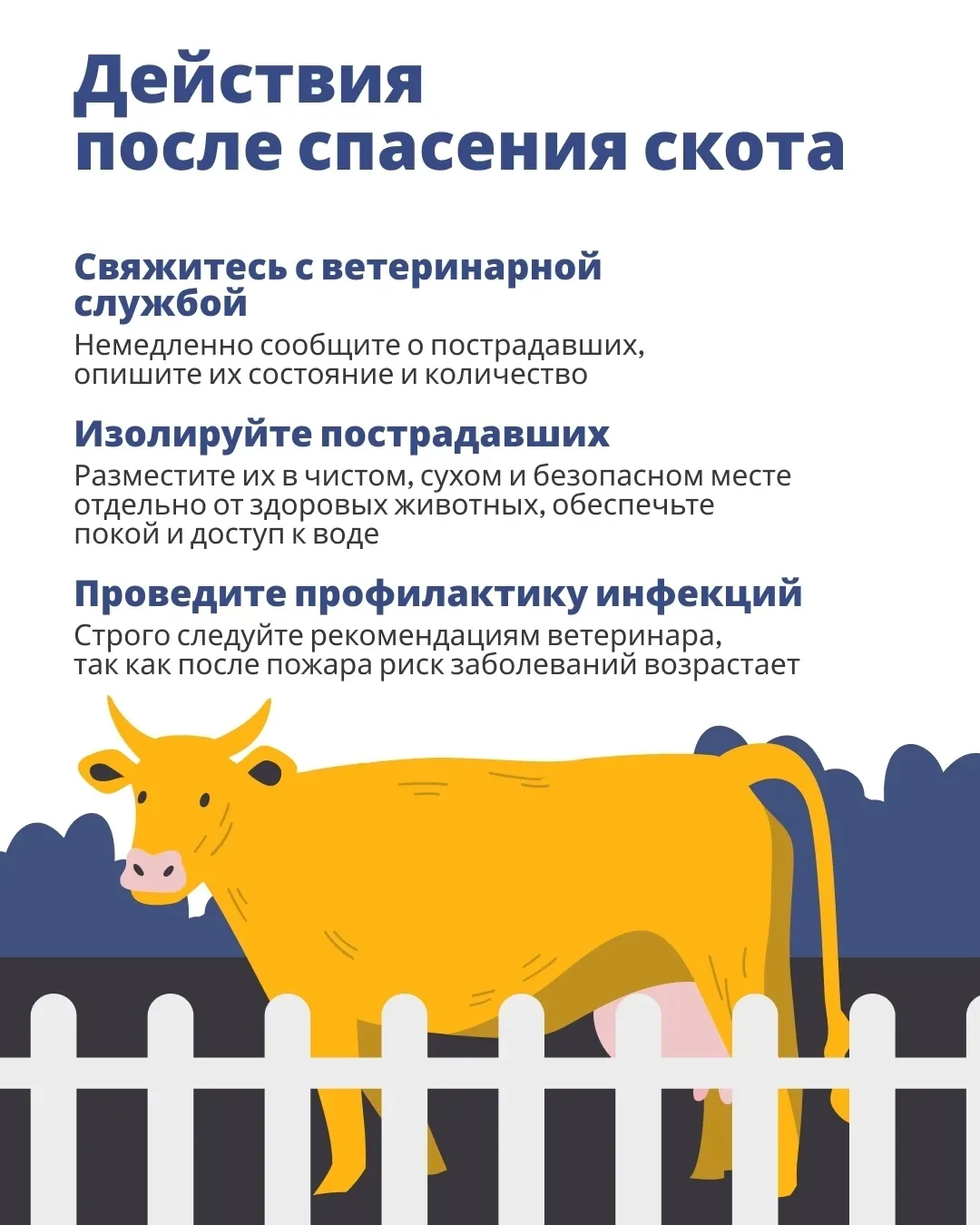 Время обезопасить животных от пожаров!