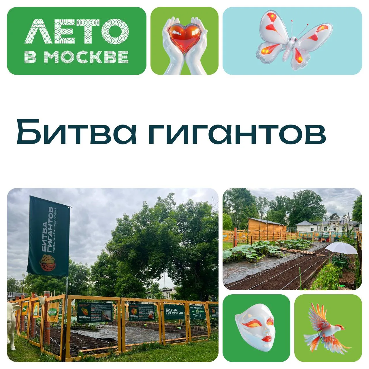 Овощи размером с мечту существуют! На «Городской ферме» уже можно увидеть уникальный ог...