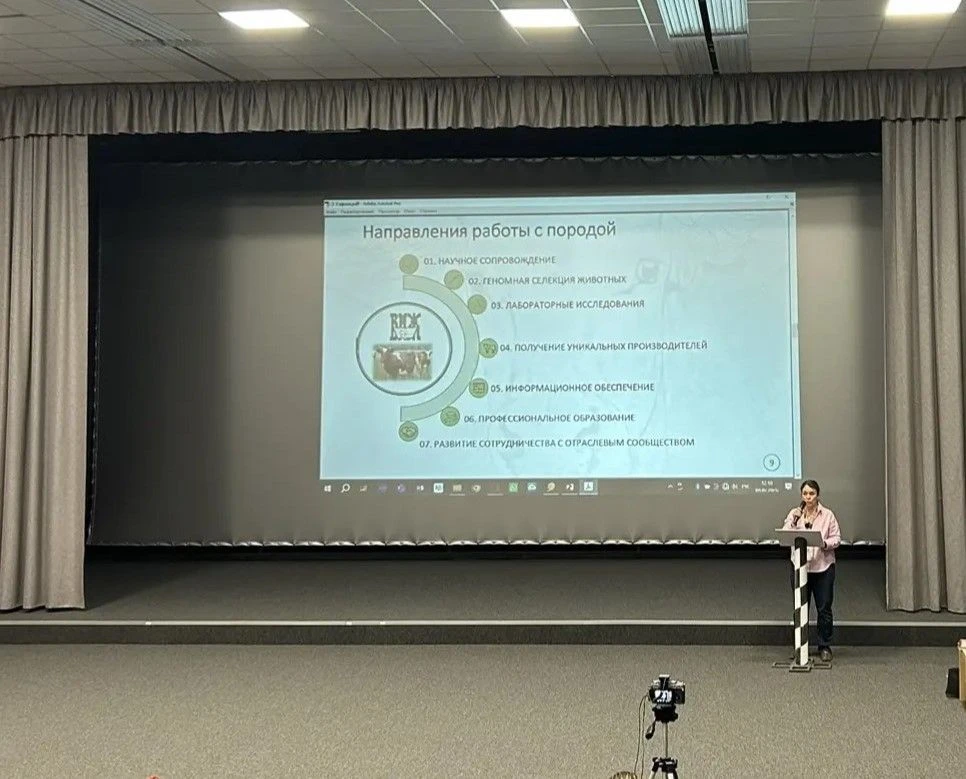 🐮 В Олонце эксперты обсудили перспективы развития айрширской породы крупного рогатого ...