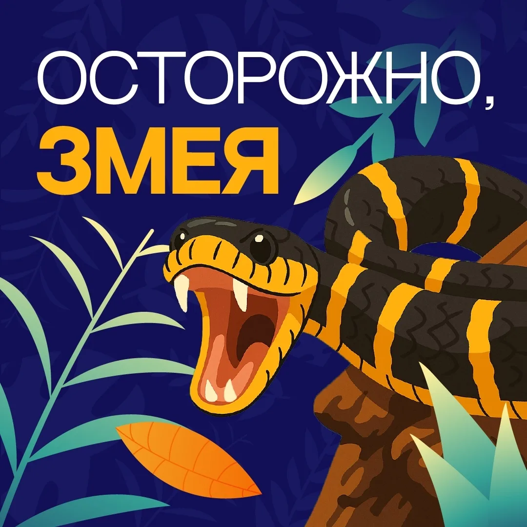 Теплая погода и влажность влияют на популяцию змей. В такие дни их можно обнаружить не ...