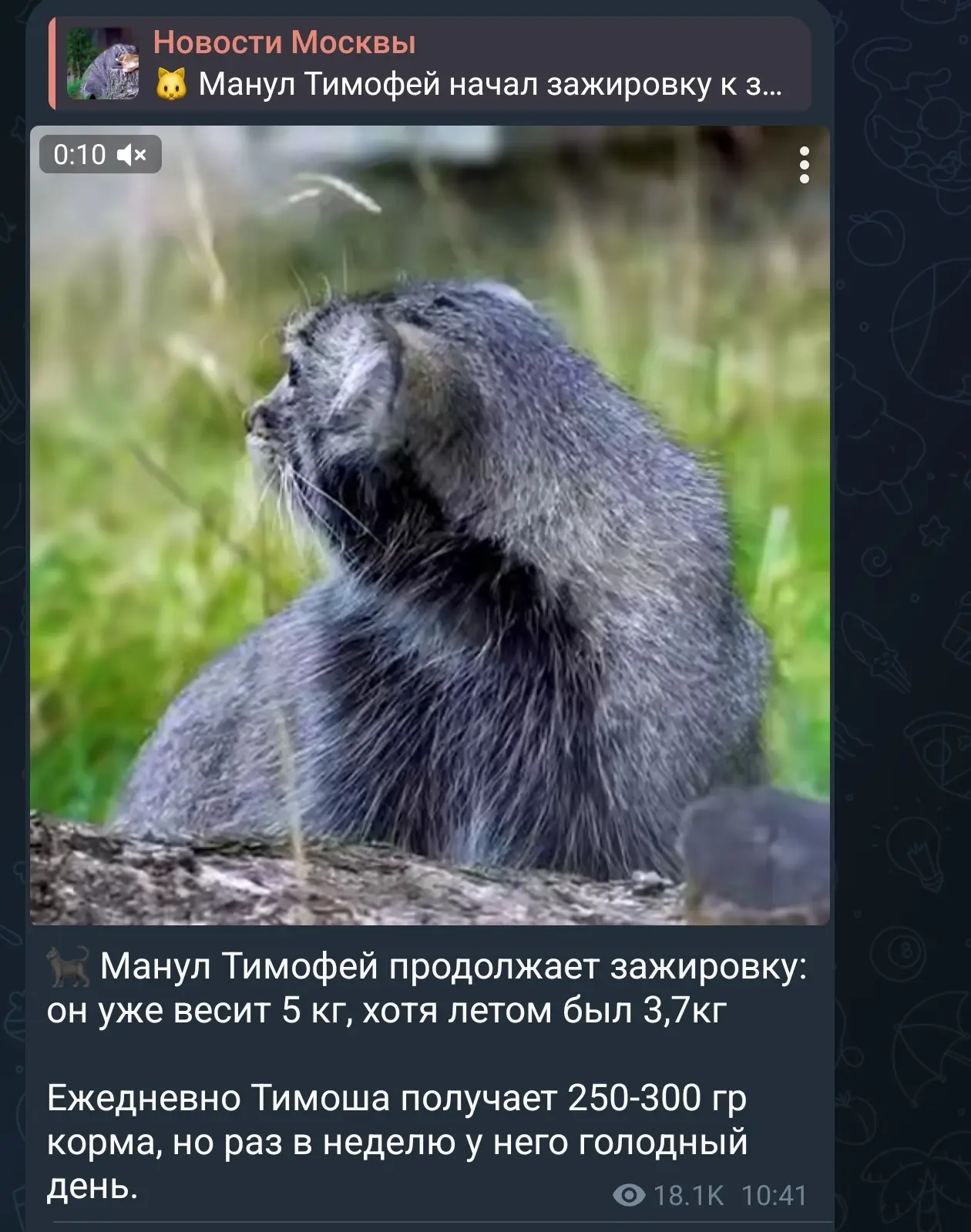 В нашем поезде идет обратный процесс, мы начали разжировку 😁 и сегодня у нас остановка...