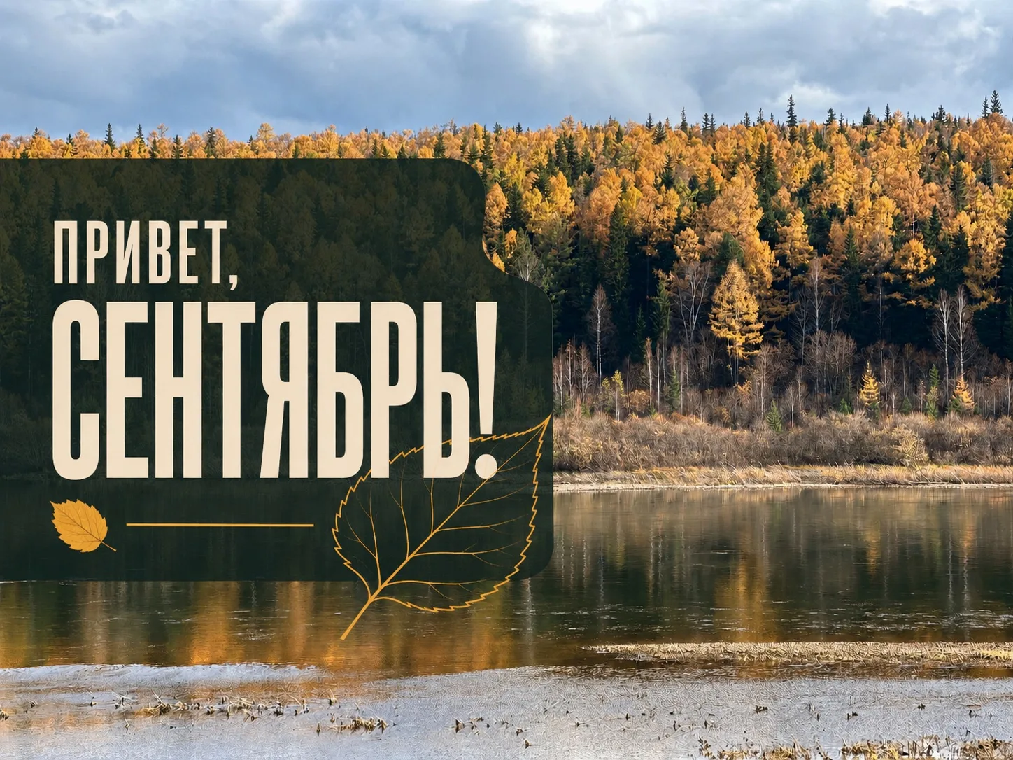 🍂 Доброе утро, друзья! Вот и осень — сегодня 1 сентября.