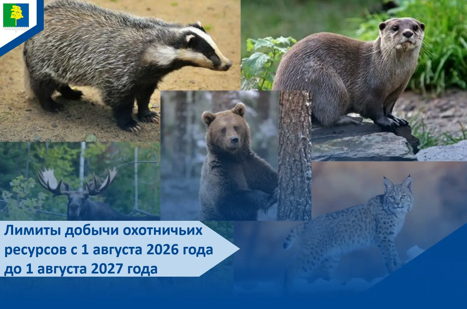 📢 Утверждены лимиты добычи охотничьих ресурсов в ХМАО — Югре на 2026–2027 годы