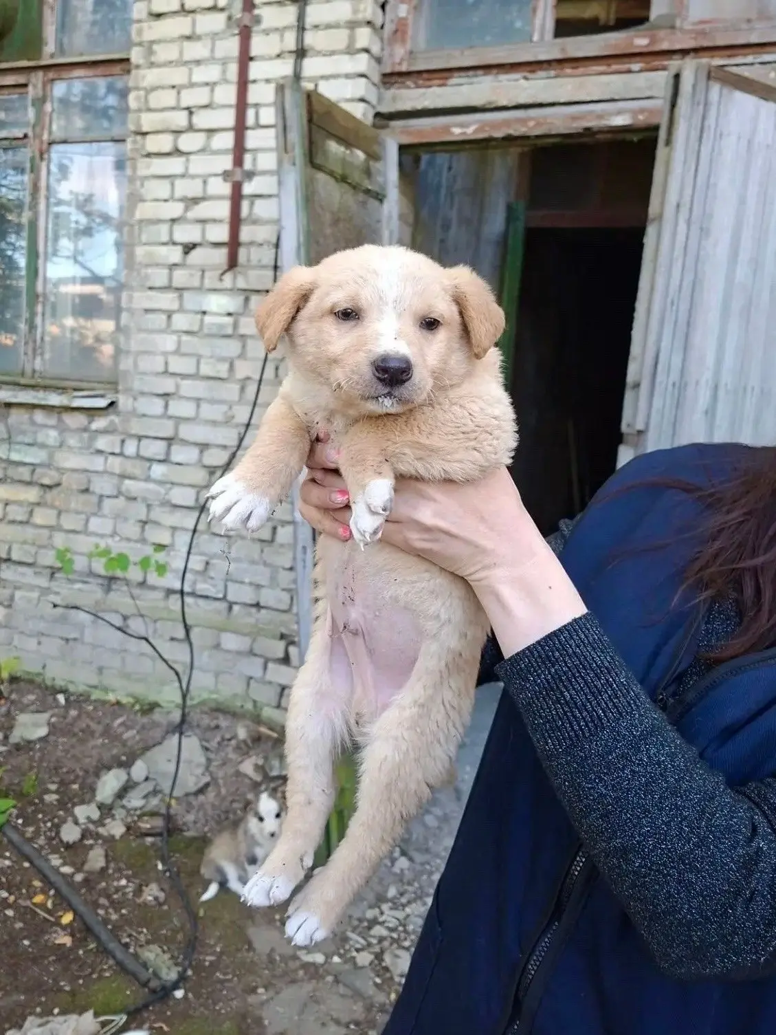 🏡🏡🏡Нужен дом для мальчика.