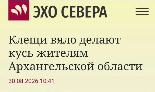 Выгорели