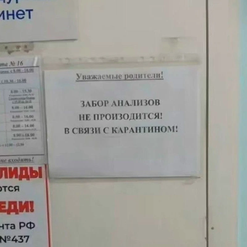 В Иркутской области зафиксирован первый за 10 лет случай лёгочной чумы — скончалась сот...