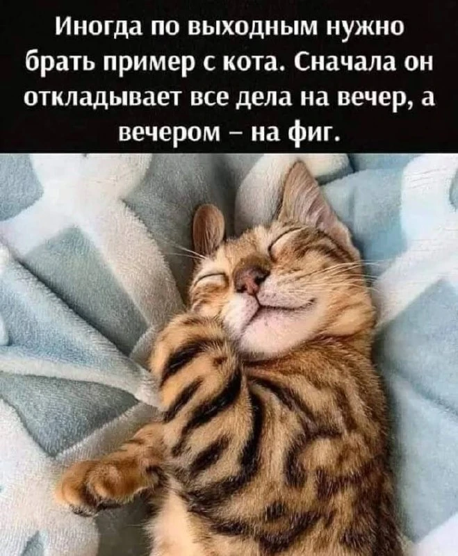 Доброе утро, котики мои 😘 ㅤ
