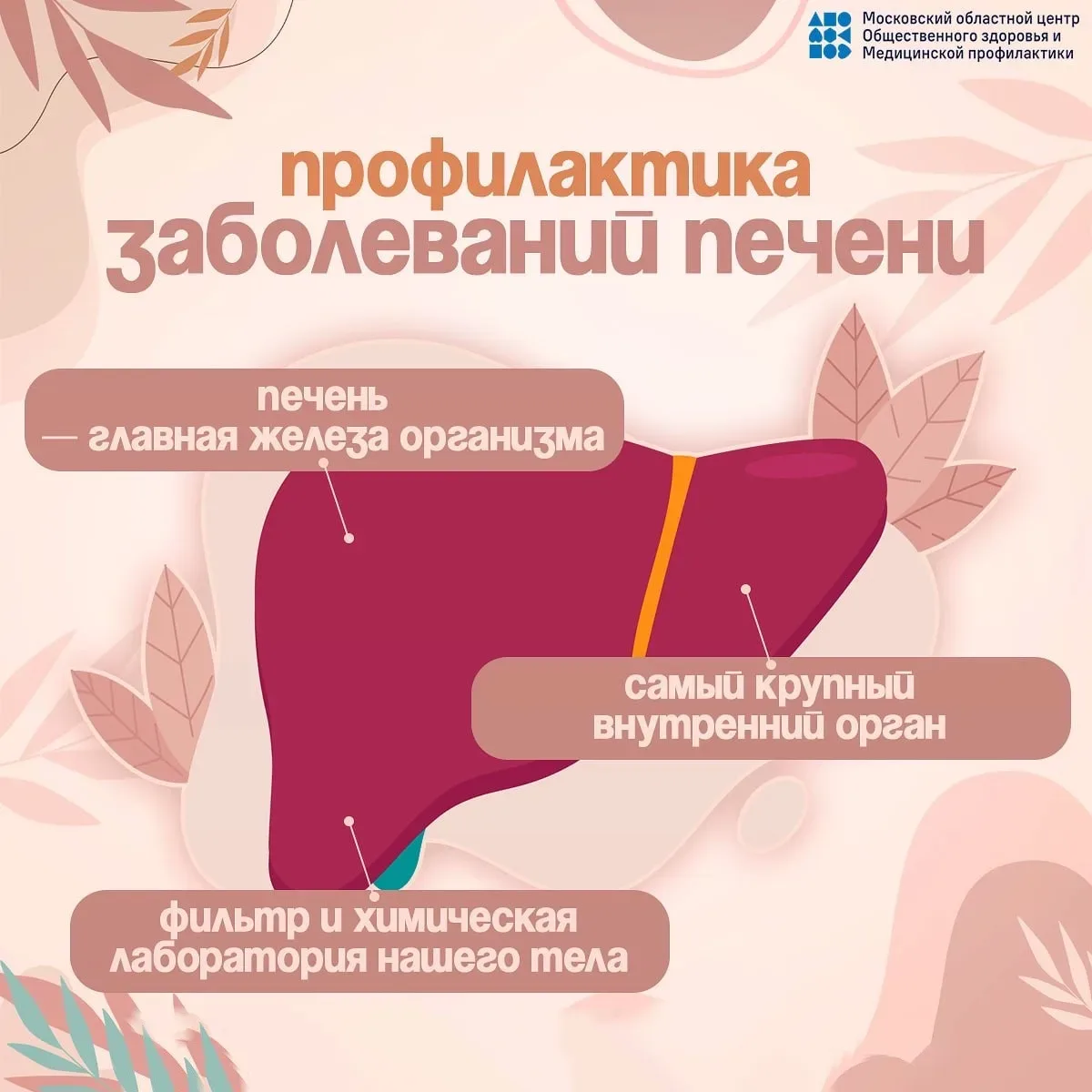 Неделя профилактики заболеваний печени: бережём самый трудолюбивый орган!
С 27 июля по 2 августа 202
