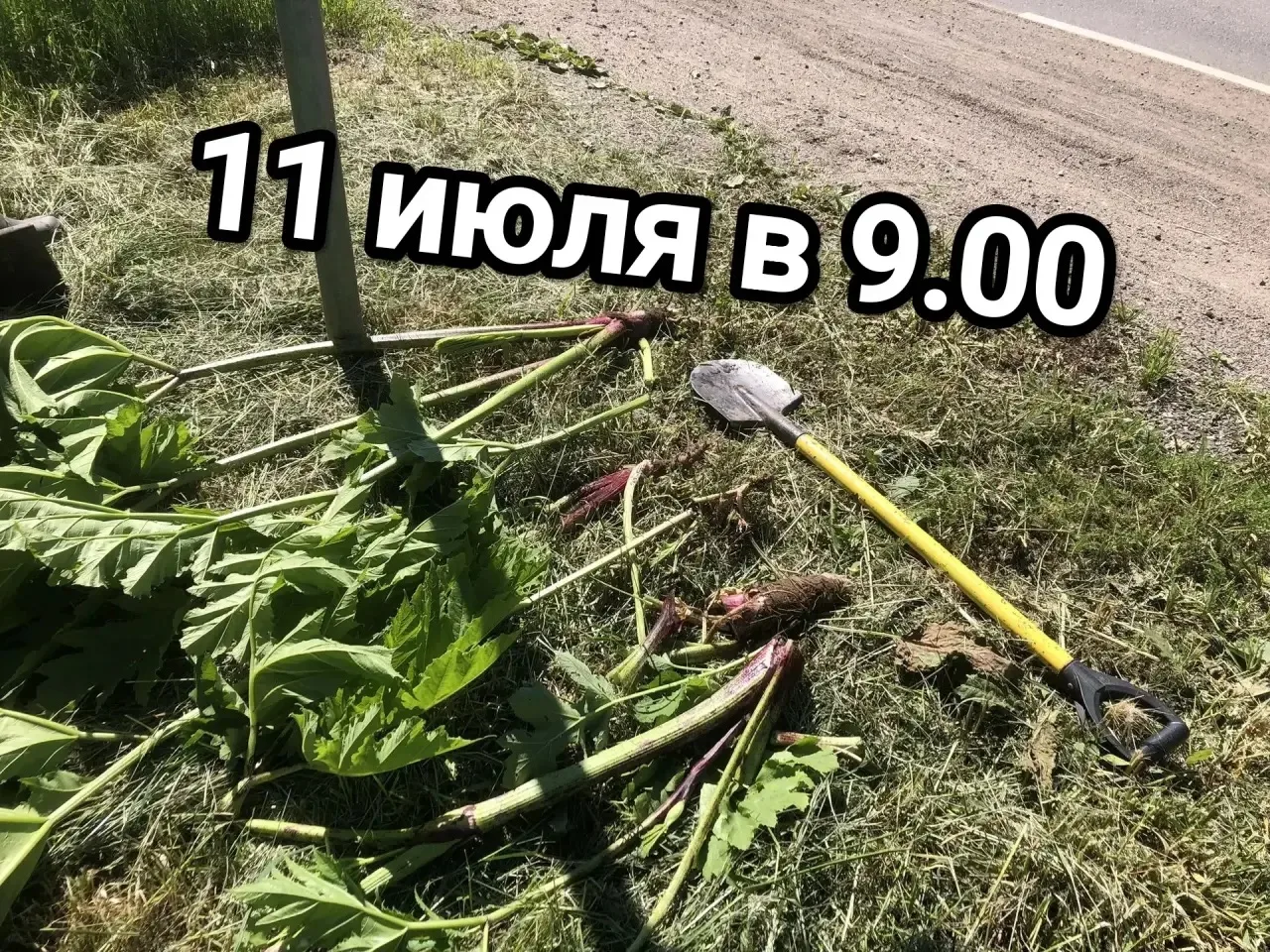 11 июля 2026 года в 09.00 экозащитники и общественники ТУ Никольское и ТУ Кубинка пригл...