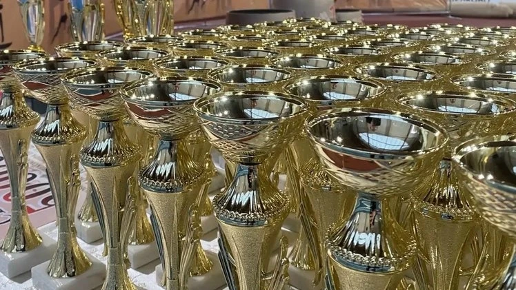 Более 700 участников собрал турнир по карате на Кубок Щёлково.