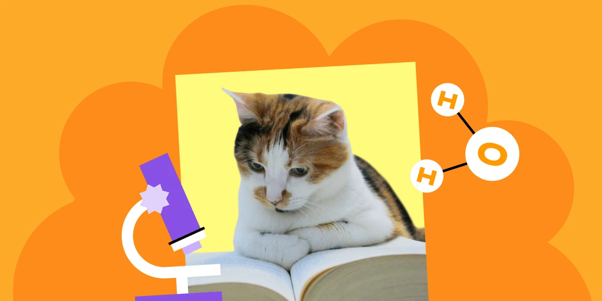 🎓 Как школьникам готовиться к олимпиадам: 7 главных советов! 

🏆 Олимпиады — это не только шанс на