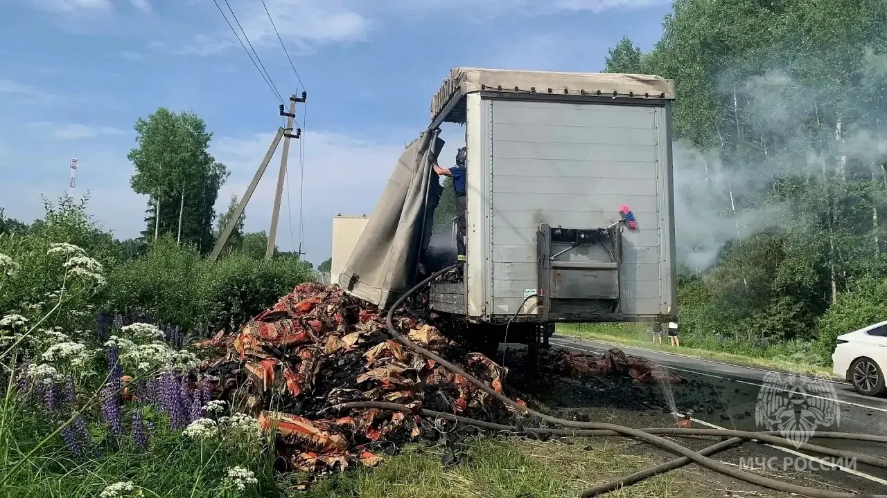 В Городецком округе на автодороге произошло возгорание груза с углем для мангалов. 

В причинах прои