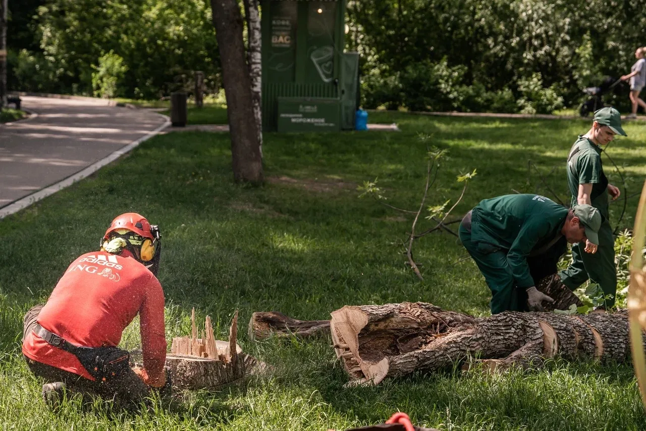 «Есть друзья, а для них у друзей нет выходных!» - помните такую строчку? 

Мы с парком живем именно 