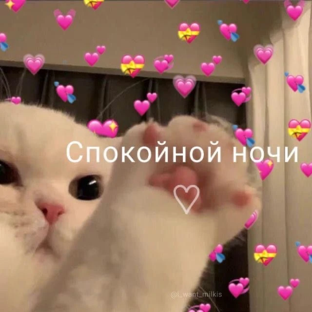 Сладких снов, красотки ❤️